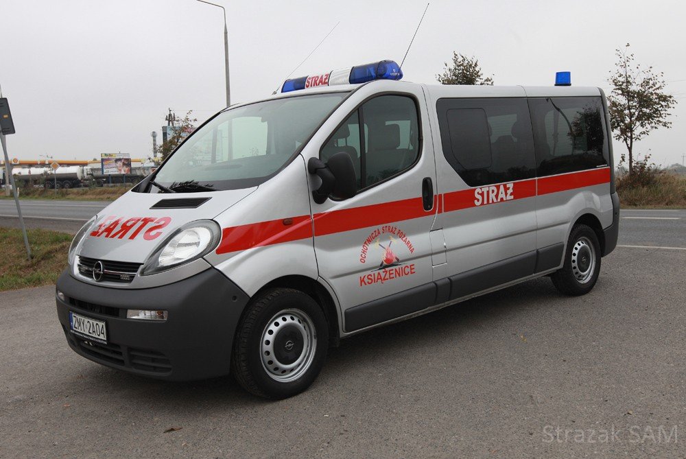 vivaro srebrne 1